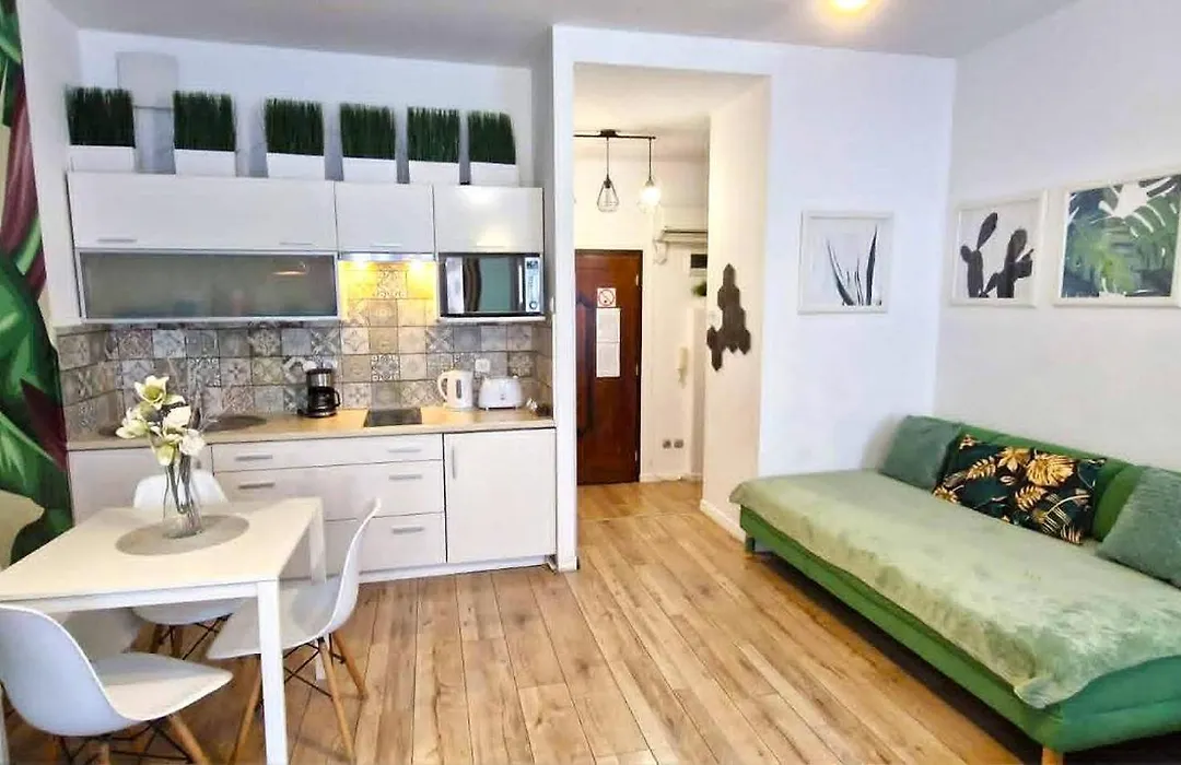 Cozy Modern Studio Green Apartment In Old Town-1