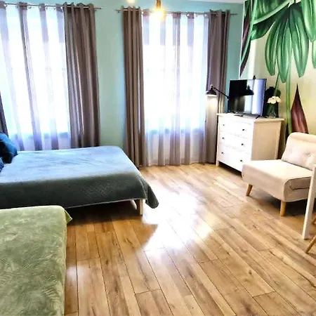 Cozy Modern Studio Green Apartment In Old Town-3
